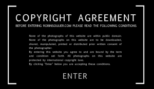 Copyright Agreement